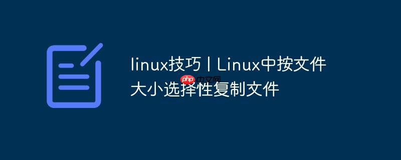 linux技巧 | linux中按文件大小选择性复制文件