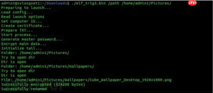 从Conti到Akira：解码最新的Linux和ESXi勒索软件家族