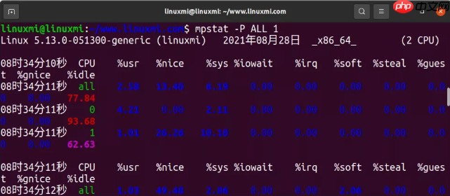 1 分钟内对 Linux 进行性能诊断的10 个命令