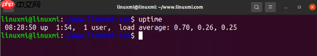 1 分钟内对 Linux 进行性能诊断的10 个命令