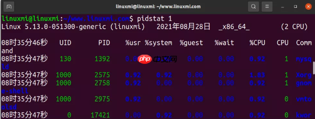1 分钟内对 Linux 进行性能诊断的10 个命令