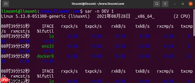 1 分钟内对 Linux 进行性能诊断的10 个命令