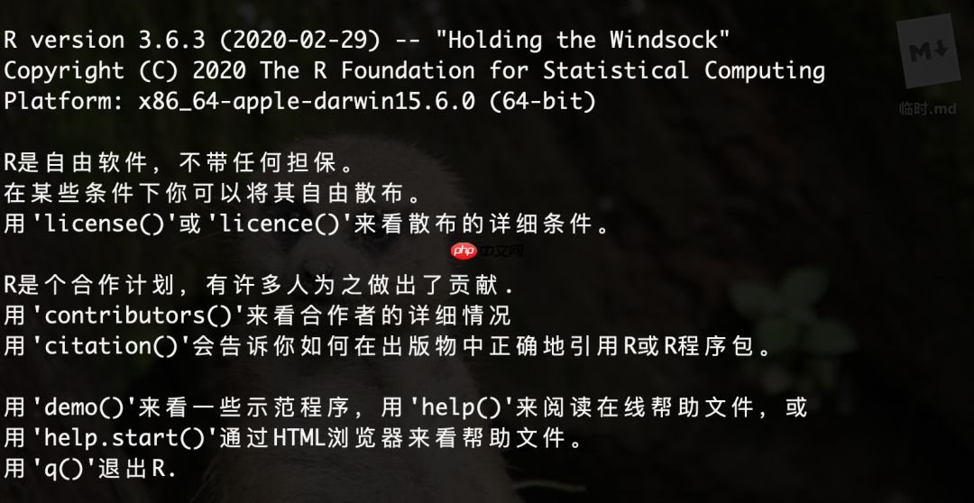10. R studio/R 工具指南（九：配置R 的启动文件）