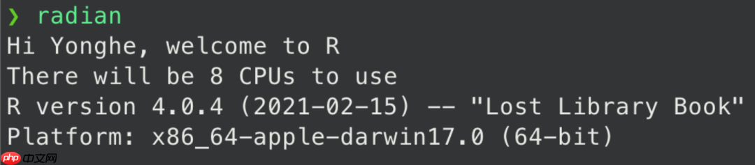 10. R studio/R 工具指南（九：配置R 的启动文件）