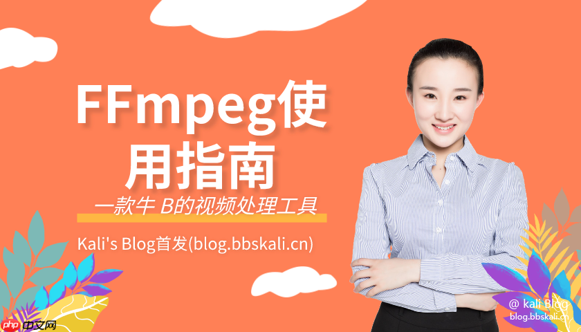 FFmpeg入坑指南 FFmpeg入坑指南