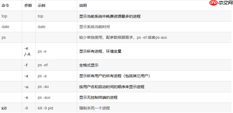 linux常用命令~系統常用命令-小浪學習網