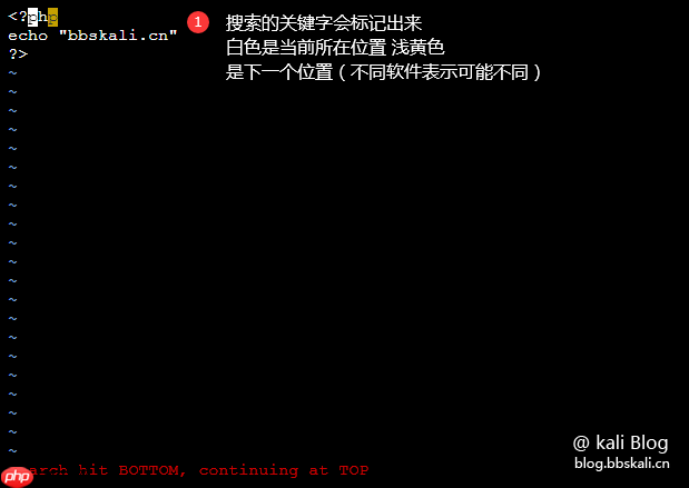 Kali下常用的Linux编辑器
