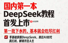 DeepSeek的"长文阅读"功能如何使用？它能处理多大容量的文档？