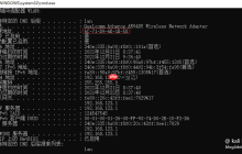 Windows 10 和 Linux 中的 MAC 地址欺骗