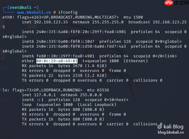 Windows 10 和 Linux 中的 MAC 地址欺骗