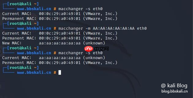 Windows 10 和 Linux 中的 MAC 地址欺骗