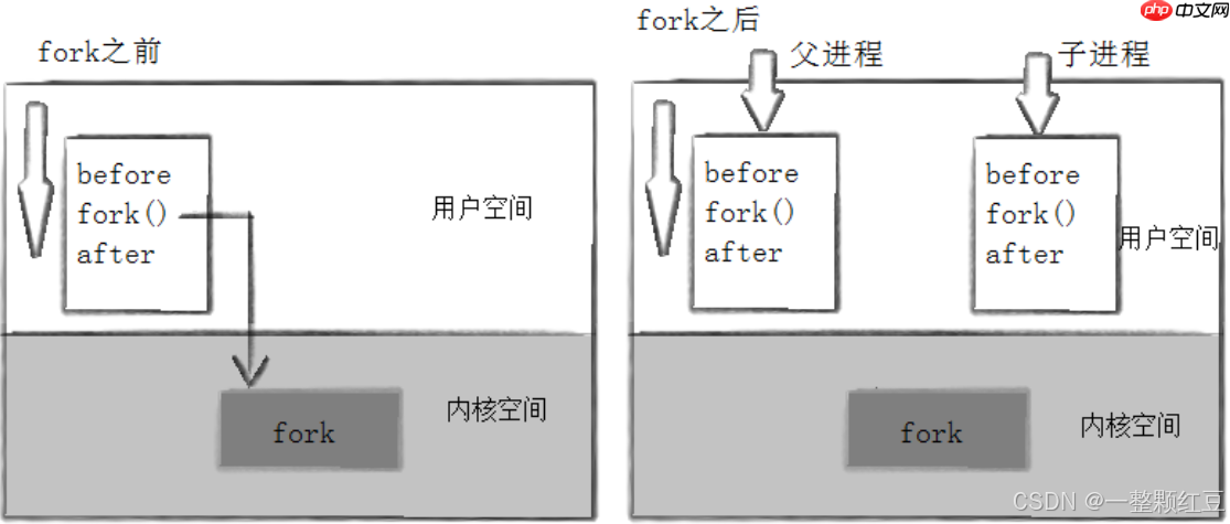 【Linux 进程控制】—— 进程亦生生不息：起于鸿蒙，守若空谷，归于太虚