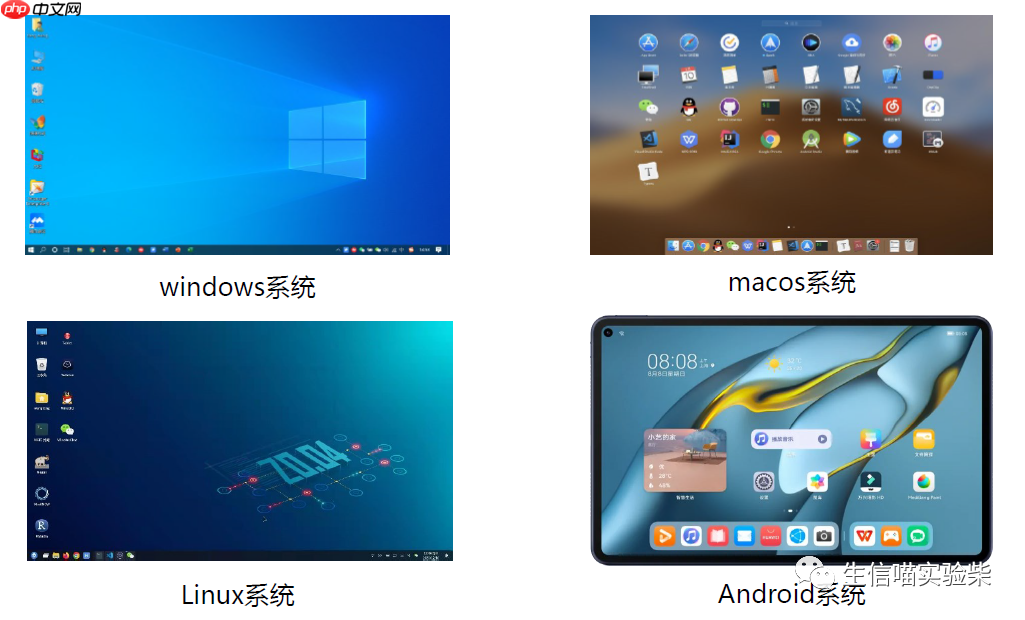 熟悉Linux系統-小浪學習網