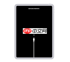 iPad无法使用怎么解决