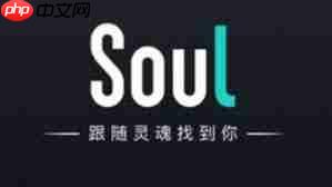 soul隐身会员功能