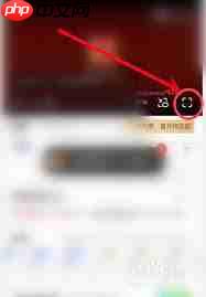 ios爱奇艺弹幕开关位置