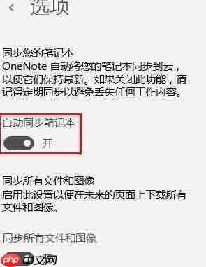 one note怎么开启自动同步？one note自动同步的方法