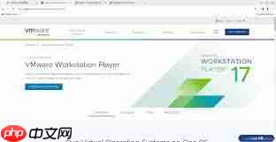 VMware是否需要付费
