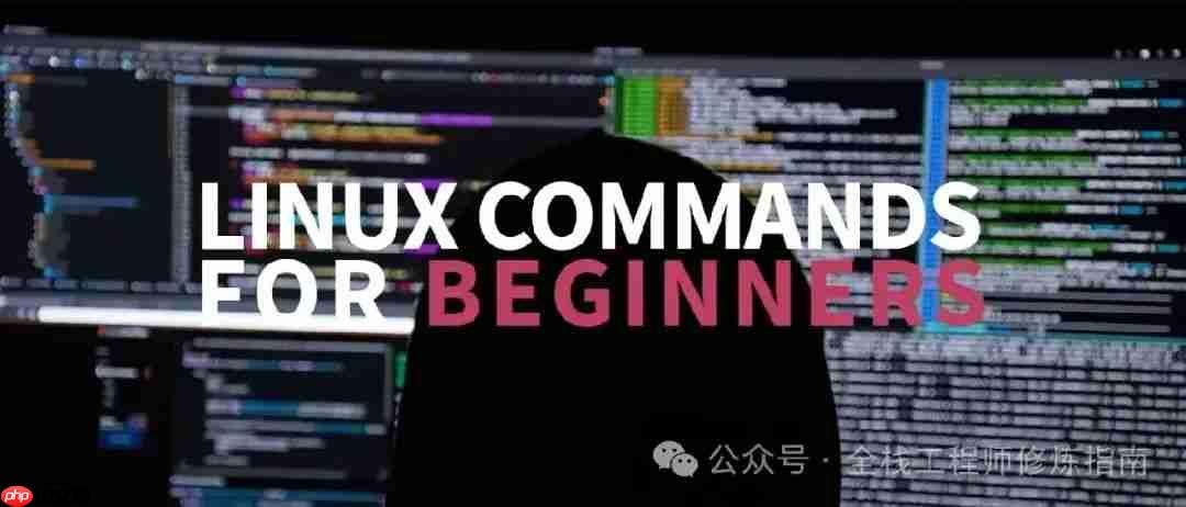 Linux 命令 | 每日一学，文本处理三剑客之grep命令实践