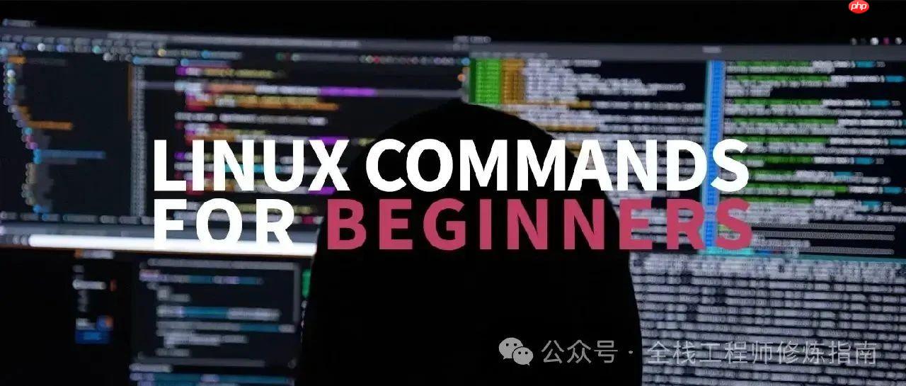 Linux 命令 | 每日一学,文本处理三剑客之grep命令实践