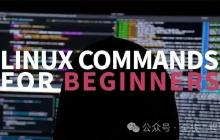 Linux 命令 | 每日一学,文本处理三剑客之grep命令实践