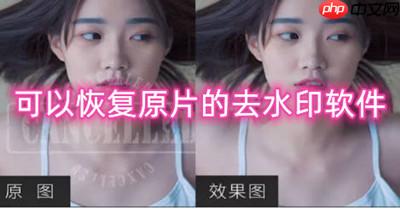 可以恢复原片的去水印软件推荐-无痕去水印软件合集