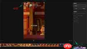 Wink去水印如何操作教程