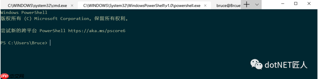 程会玩 | 无需自行编译也能玩转 Windows Terminal