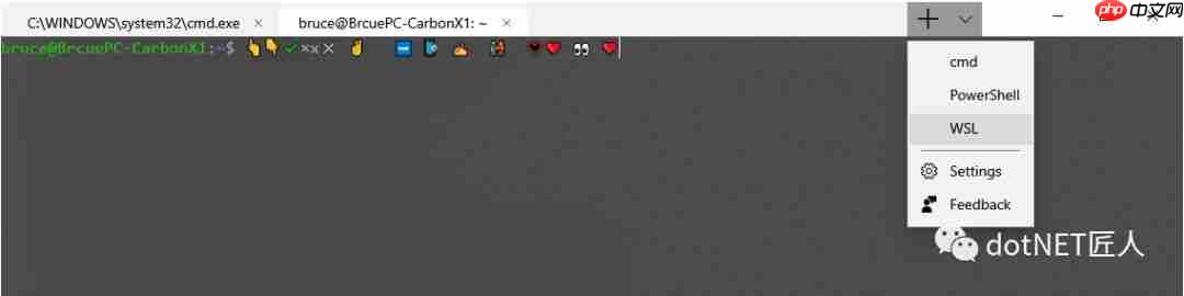程会玩 | 无需自行编译也能玩转 Windows Terminal