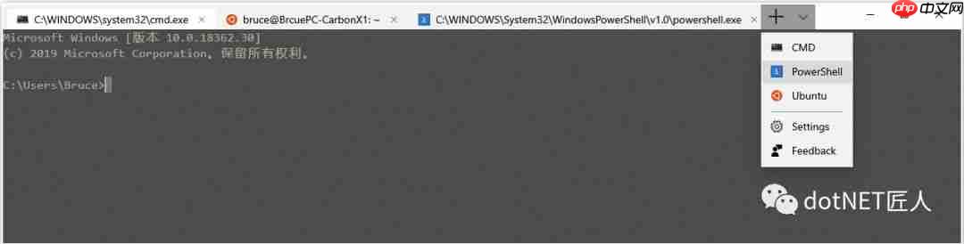程会玩 | 无需自行编译也能玩转 Windows Terminal