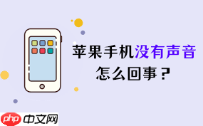 苹果手机没声音如何修复