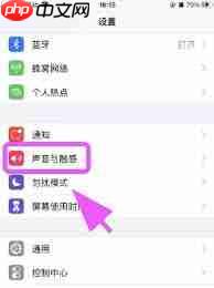 苹果手机没声音如何修复