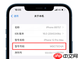 美版iPhone与国行版本有何不同