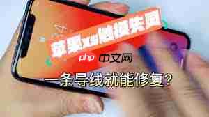 苹果触摸失灵怎么解决