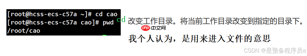 装杯 之 Linux 指令1