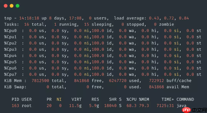 Linux 面试最高频的 5 个基本问题