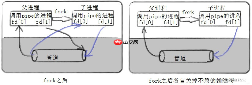 【Linux】IPC 进程间通信(一):管道(匿名管道&命名管道)
