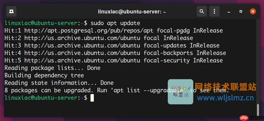 如何在 Linux 中使用 apt 命令管理包