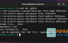 如何在 Linux 中使用 apt 命令管理包