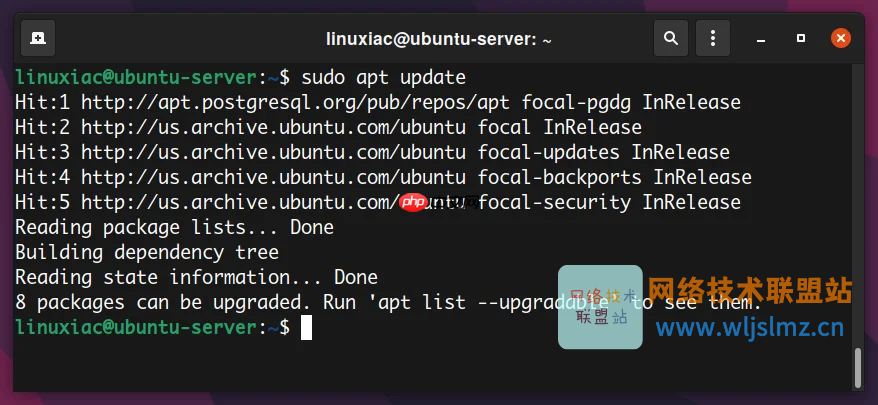 如何在 Linux 中使用 apt 命令管理包