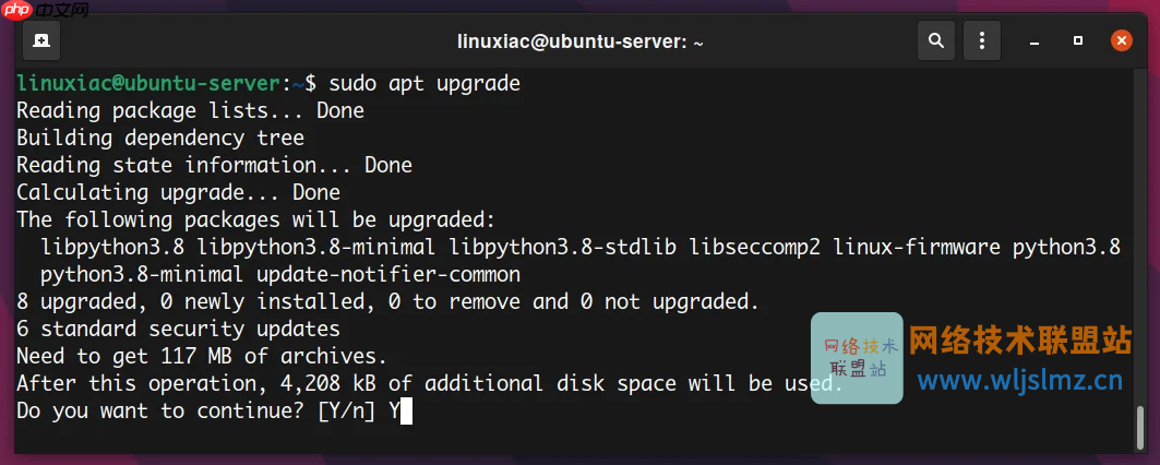 如何在 Linux 中使用 apt 命令管理包