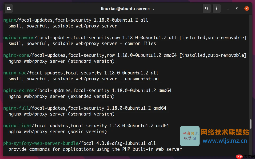 如何在 Linux 中使用 apt 命令管理包