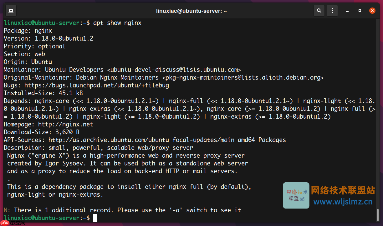 如何在 Linux 中使用 apt 命令管理包