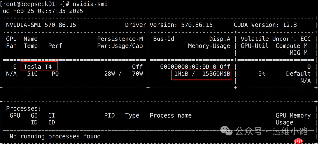 DeepSeek-进阶版部署(Linux+GPU)