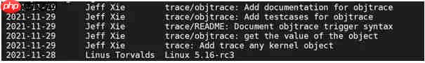 谢欢：向linux内核引进object trace