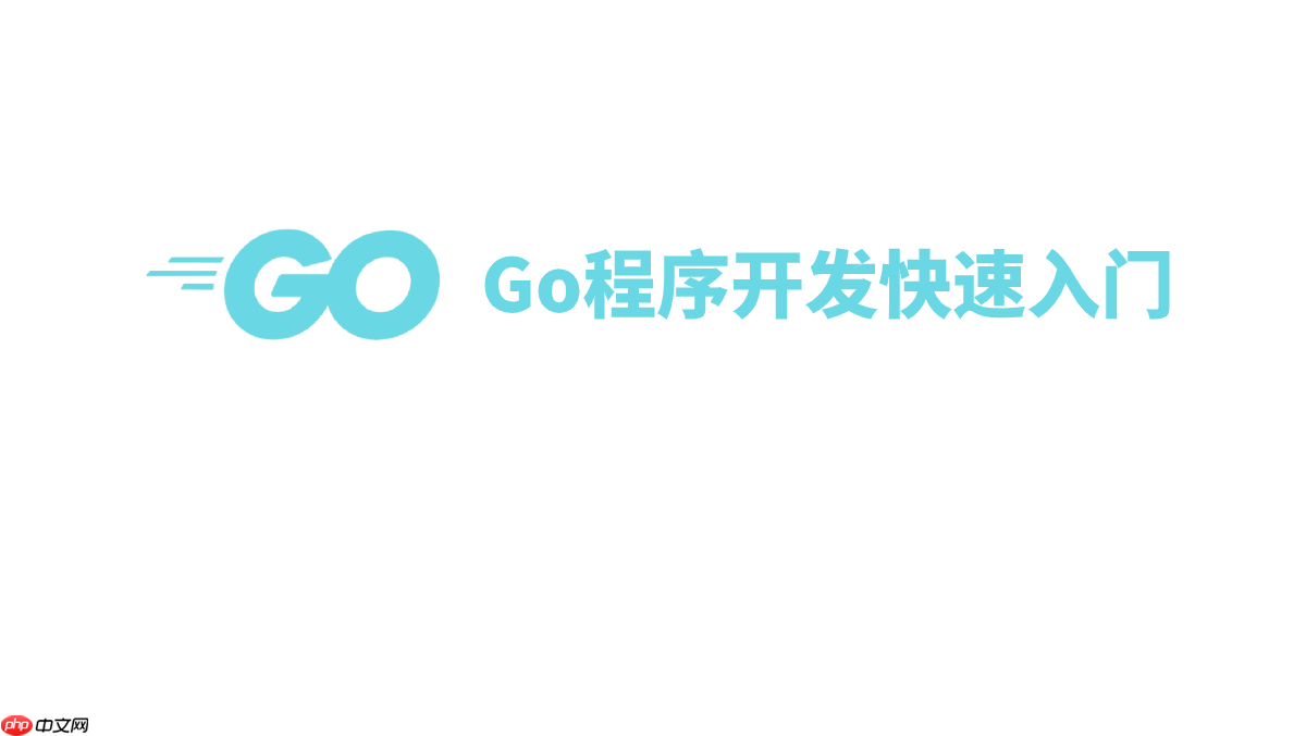 Go程序开发快速入门