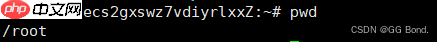 【Linux探索学习】第一弹——Linux的基本指令（上）——开启Linux学习第一篇