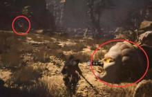 黄风岭佛目珠全收集攻略 解锁隐藏 BOSS 石敢当终极指南