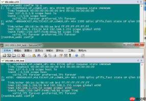 Linux下安装lvs和keeplived实现负载均衡