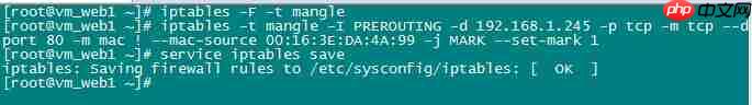 Linux下安装lvs和keeplived实现负载均衡